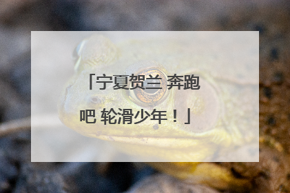 宁夏贺兰 奔跑吧 轮滑少年！
