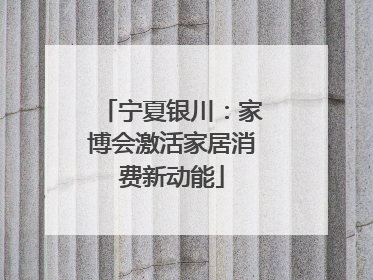 宁夏银川：家博会激活家居消费新动能