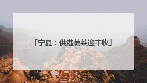 宁夏：供港蔬菜迎丰收
