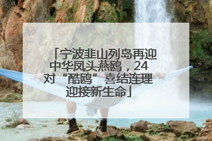 宁波韭山列岛再迎中华凤头燕鸥，24对“酷鸥”喜结连理迎接新生命