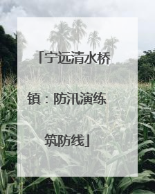 宁远清水桥镇：防汛演练筑防线
