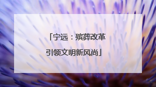 宁远：殡葬改革引领文明新风尚
