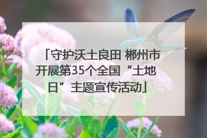 守护沃土良田 郴州市开展第35个全国“土地日”主题宣传活动