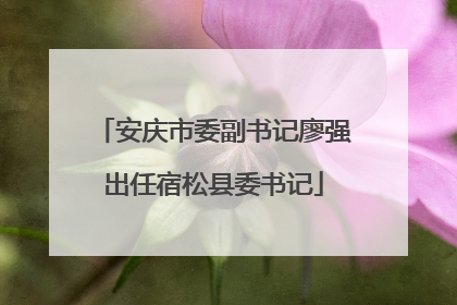 安庆市委副书记廖强出任宿松县委书记