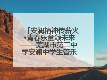 安澜精神传薪火•青春乐章颂未来——芜湖市第二中学安澜中学生管乐团第十二届公益展演圆满举行