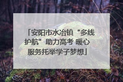 安阳市水冶镇“多线护航”助力高考 暖心服务托举学子梦想