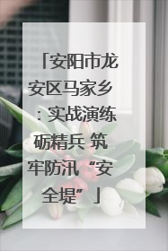 安阳市龙安区马家乡：实战演练砺精兵 筑牢防汛“安全堤”