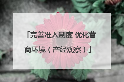 完善准入制度 优化营商环境（产经观察）