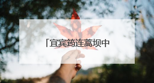 宜宾筠连蒿坝中心校：心“芽”初绽，自暖成光