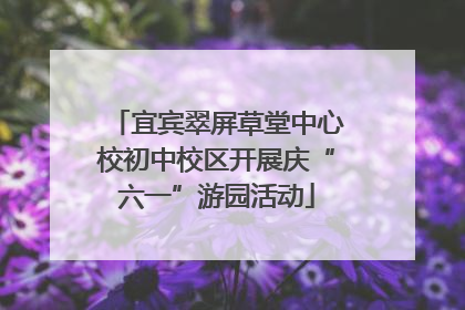宜宾翠屏草堂中心校初中校区开展庆“六一”游园活动