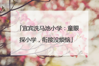 宜宾洗马池小学：童眼探小学，衔接没烦恼