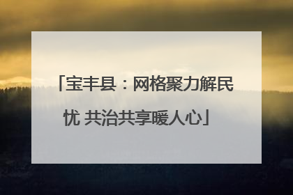 宝丰县：网格聚力解民忧 共治共享暖人心