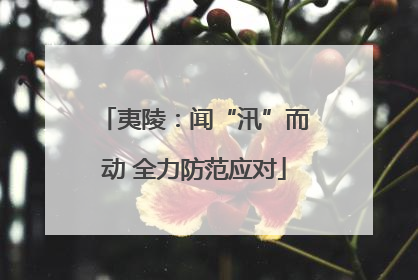 夷陵：闻“汛”而动 全力防范应对