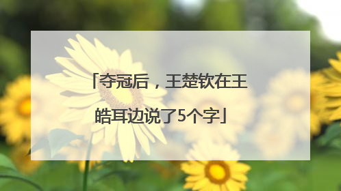 夺冠后，王楚钦在王皓耳边说了5个字