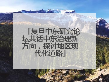 复旦中东研究论坛共话中东治理新方向，探讨地区现代化道路