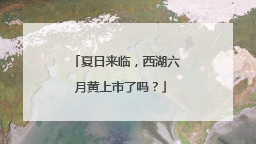 夏日来临，西湖六月黄上市了吗？