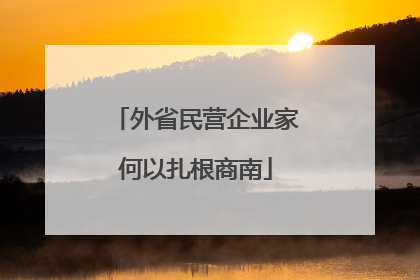 外省民营企业家何以扎根商南