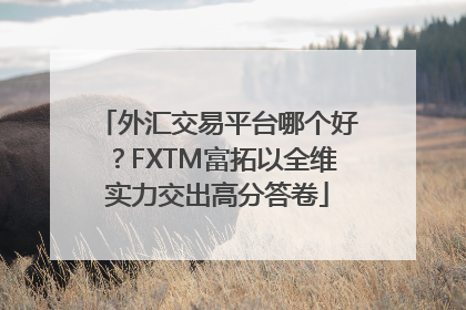 外汇交易平台哪个好？FXTM富拓以全维实力交出高分答卷