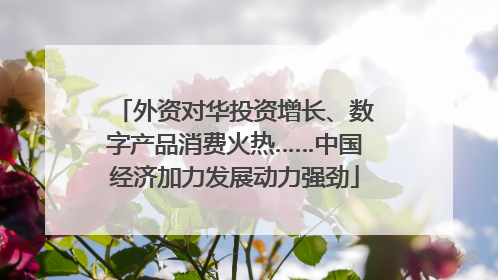 外资对华投资增长、数字产品消费火热……中国经济加力发展动力强劲
