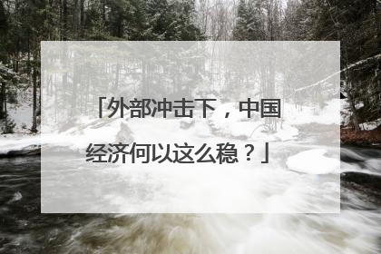 外部冲击下，中国经济何以这么稳？