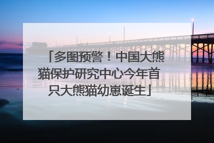 多图预警！中国大熊猫保护研究中心今年首只大熊猫幼崽诞生