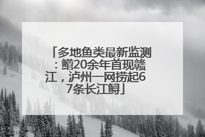 多地鱼类最新监测：鳤20余年首现赣江，泸州一网捞起67条长江鲟