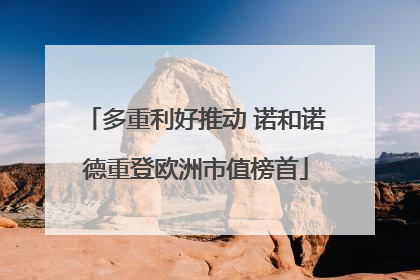 多重利好推动 诺和诺德重登欧洲市值榜首