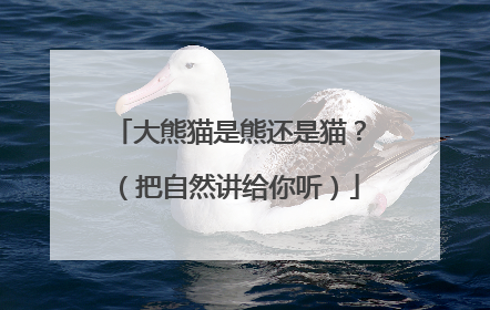 大熊猫是熊还是猫？（把自然讲给你听）