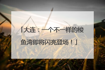 大连：一个不一样的梭鱼湾即将闪亮登场！