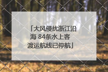 大风侵扰浙江沿海 84条水上客渡运航线已停航