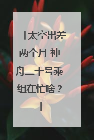 太空出差两个月 神舟二十号乘组在忙啥？