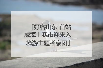 好客山东 首站威海丨我市迎来入境游主题考察团