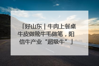 好山东｜牛肉上餐桌牛皮做靴牛毛做笔，阳信牛产业“超级牛”