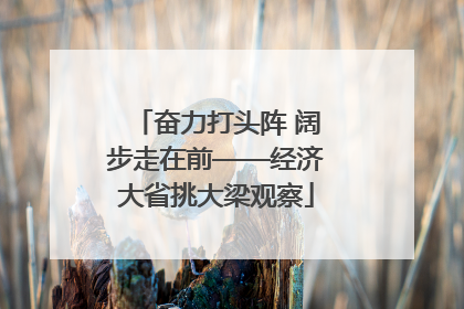 奋力打头阵 阔步走在前——经济大省挑大梁观察