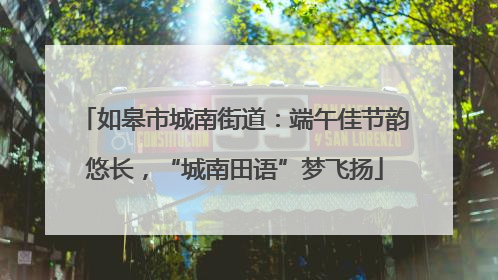 如皋市城南街道：端午佳节韵悠长，“城南田语”梦飞扬