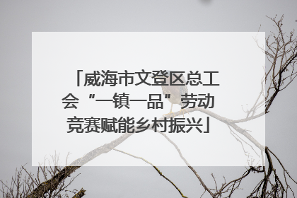 威海市文登区总工会“一镇一品”劳动竞赛赋能乡村振兴