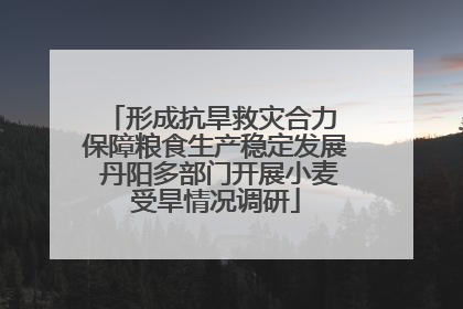 形成抗旱救灾合力 保障粮食生产稳定发展 丹阳多部门开展小麦受旱情况调研
