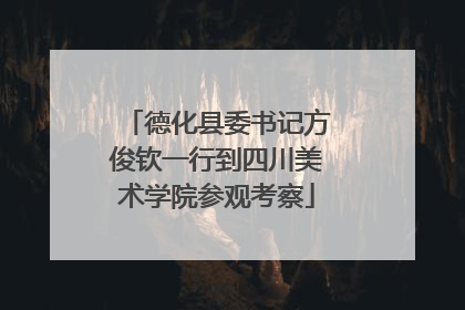 德化县委书记方俊钦一行到四川美术学院参观考察