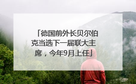 德国前外长贝尔伯克当选下一届联大主席，今年9月上任