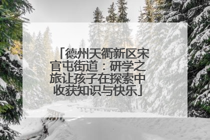 德州天衢新区宋官屯街道：研学之旅让孩子在探索中收获知识与快乐