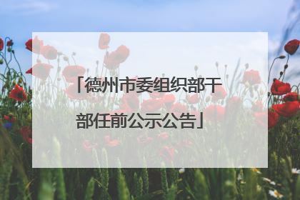 德州市委组织部干部任前公示公告