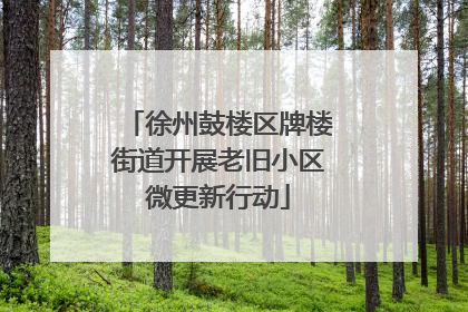 徐州鼓楼区牌楼街道开展老旧小区微更新行动