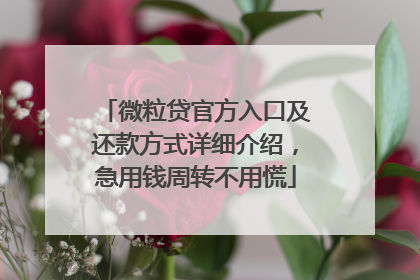 微粒贷官方入口及还款方式详细介绍，急用钱周转不用慌