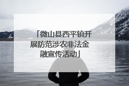 微山县西平镇开展防范涉农非法金融宣传活动