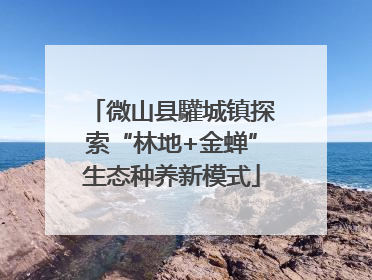 微山县驩城镇探索“林地+金蝉”生态种养新模式