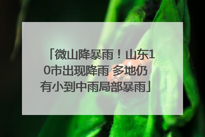 微山降暴雨！山东10市出现降雨 多地仍有小到中雨局部暴雨