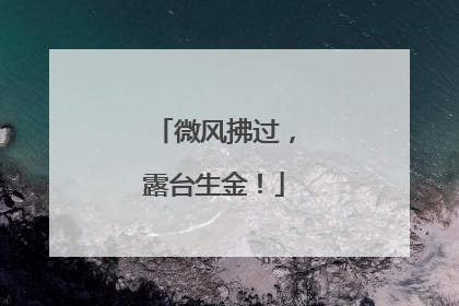 微风拂过，露台生金！