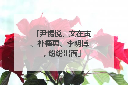 尹锡悦、文在寅、朴槿惠、李明博，纷纷出面