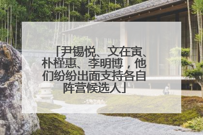 尹锡悦、文在寅、朴槿惠、李明博，他们纷纷出面支持各自阵营候选人