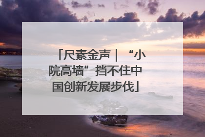 尺素金声｜“小院高墙”挡不住中国创新发展步伐